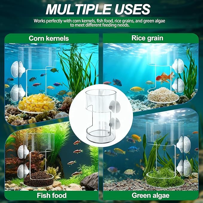 2-Pack Clear Acrylic Aquarium Feeding Stations – Dual Shaped Square & Cylinder Fish Food Dispensers with Suction Cups, Prevent Floating Food & Maintain Tank Clarity