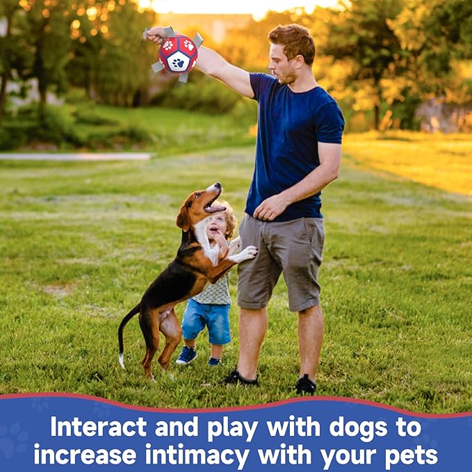 Diman Small Dog Toys Soccer Ball with Straps,Interactive Dog Balls for Tug of War, Yard Games, Dog Waterpool Toy, Herding Ball for Small Dogs, Pet Birthday Gifts Boredom Buster (5inch)