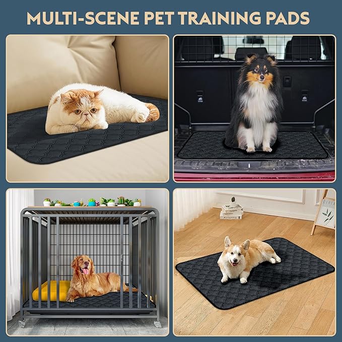 Washable Pee Pads for Dogs - 1 Pack Reusable Pee Pads,Waterproof Puppy Pads,Pet Training Pads,Super Absorbent with Dog Paw Shape Non-Slip Backing (Dark Grey, 48" X 65" - 1 Pack)