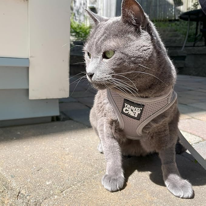 Travel Cat Harness and Leash Set - Adjustable Fit Mesh Cat Harness and Reflective Strap - Comfort Walking Vest for Kitten for Outdoor Walking, Hiking (Extra Small, Grey)