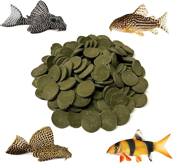 Large 18mm Algae Wafer - Algae Wafers for Bottom Feeders - The Best Pleco Wafers & Pleco Food Available - Algae Wafers for Snails (2 lb)