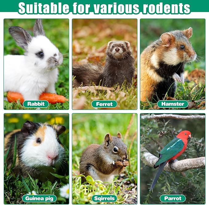 Saillong 1 Pack Rabbit Water Bottle, 32 oz No Drip Heated Water Bottle for Rabbits, Hamster, Guinea Pigs, Ferrets, Birds, Mouse, Cockatiel, Rats, Other Small Animal Pet No Leak No Mess Mount Drinker