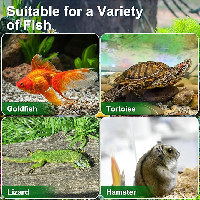 Portable Fish Tank 15In Handheld Aquarium Turtle Box with Handle Clear Plastic Reptile Carrier Mini Fish and Hamster Habitat for Pet Breeding