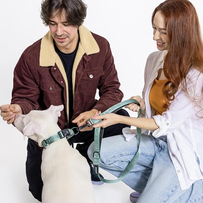 2025 New Edition, Fei & Eve MagEase Dog Collar - Patented Magnetic Buckles | Fur-Safe | Premium 210D Nylon | 450LB Escape-Proof | Adjustable Fit | Large (Glacier Green)