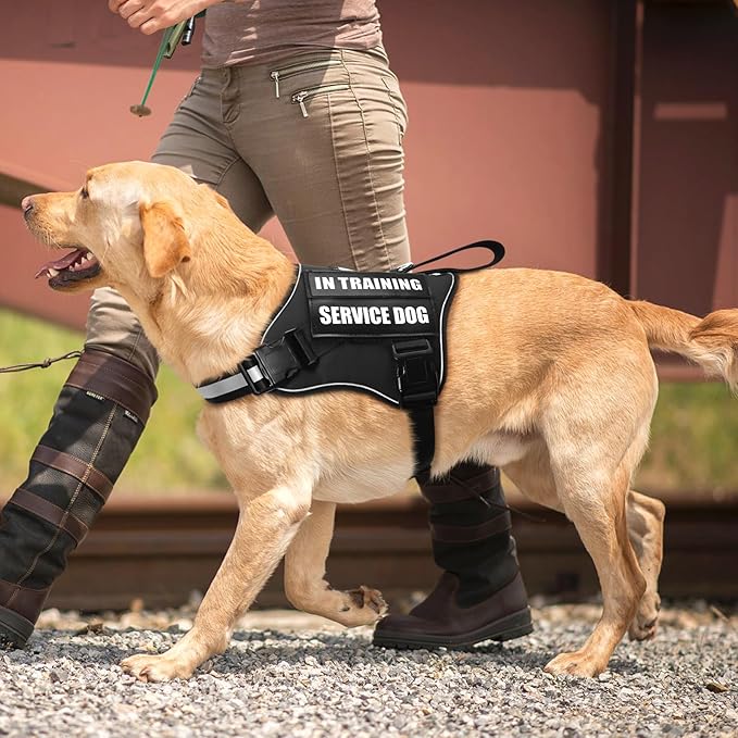 Service Dog Vest Harness and Leash Set+10 Patches,No Pull&Easy Walk Reflective Dog Harness with Soft Padded Handle for Training/Everyday,Fit Small/Medium/Large/Extra-Large Dogs (Black L)