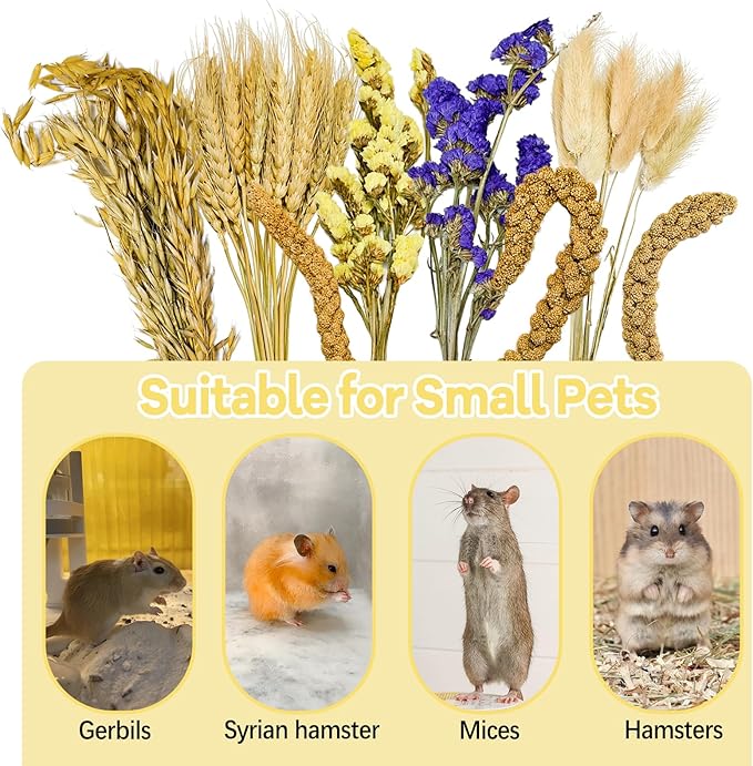 Natural Hamster Flower & Herb Habitat Deocr, Edible Hamster Sprays Flowers Bedding Mate, Hamsters Cage Enrichment Decoration Accessories for Gerbil Dwarf Syrian Hamsters Guinea Pig Mice
