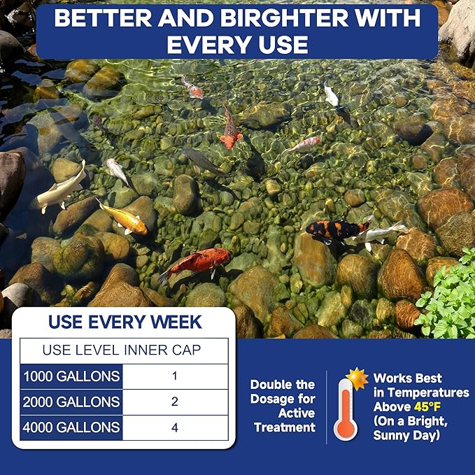 Dr. Raifya's Pond Fresher - 5 OZ - Natural Water Clear & Odor Control in Koi Pond, Bird Baths & Fountains, Beneficial Bacteria & Enzymes Safe for Fish, Pets, Wildlife & Plants, Easy to Use