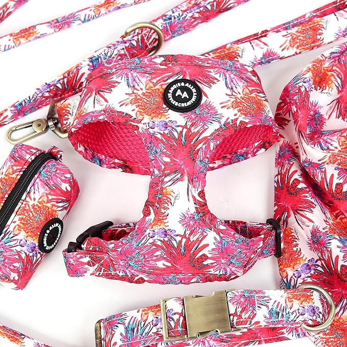 Angie and Allie Organic Cotton Dog Harness,No Pull Pet Harness with Leash D-Ring,Adjustable Soft Padded Dog Vest,Comfortable,Sustainable,Breathable and Stylish for Your Canine Companion