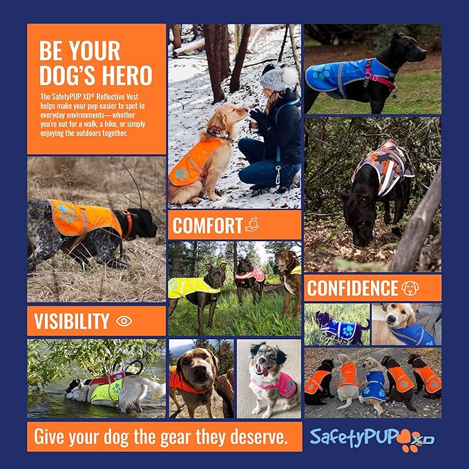 SafetyPUP XD Dog Reflective Vest – Hi-Vis Fluorescent Visibility That Helps to Safeguard Your Pet On/Off Leash in Urban & Rural Areas (Blue, X-Large)
