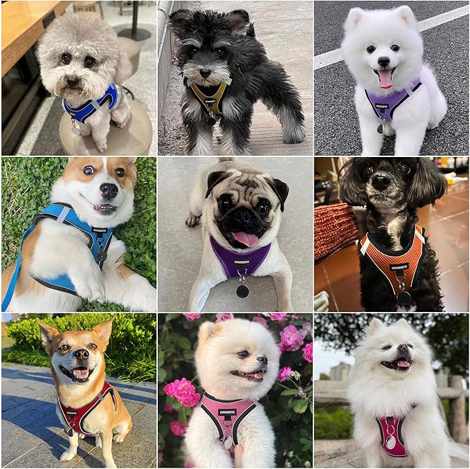 Dog Harness and Leash Set, Dog Harness for Dogs No Pull, No-Chock Step-in Reflective Breathable Lightweight Easy Walk Vest Harnesses with Safety Buckle for Small Medium Dogs, Cats (Yellow, M)
