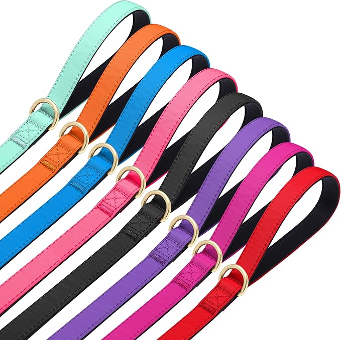 Didog 5FT Colorful Nylon Dog Leash with Soft Full-Length Padding, Lightweight and Durable Pet Leash for Small Dogs, Blue, S