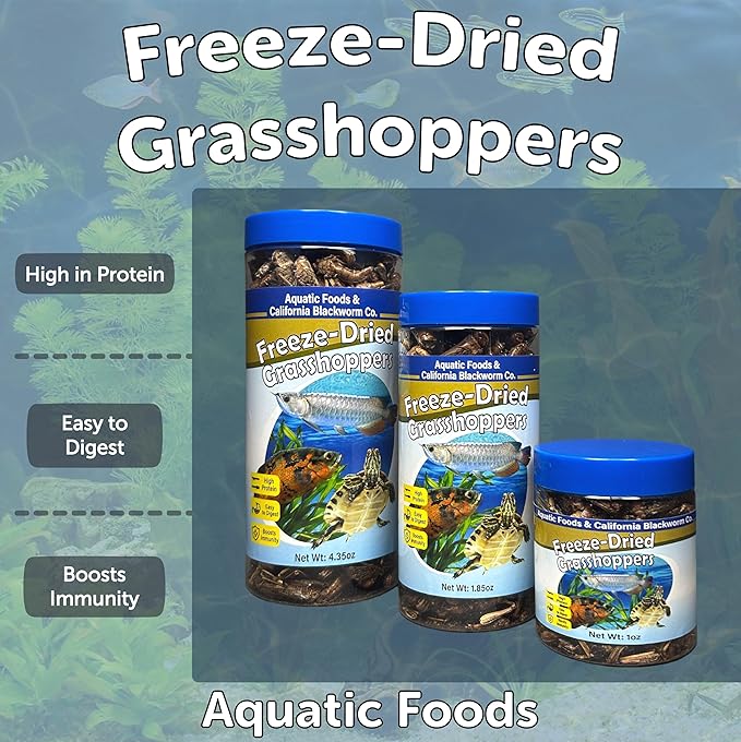 Aquatic Foods Inc. Grasshoppers, Freeze Dried Grasshoppers for Large Tropical Fish, Monster Fish, Reptiles, Turtles, Tortoises, Frogs, Hamsters, Birds, Rodents 4.3oz Canister