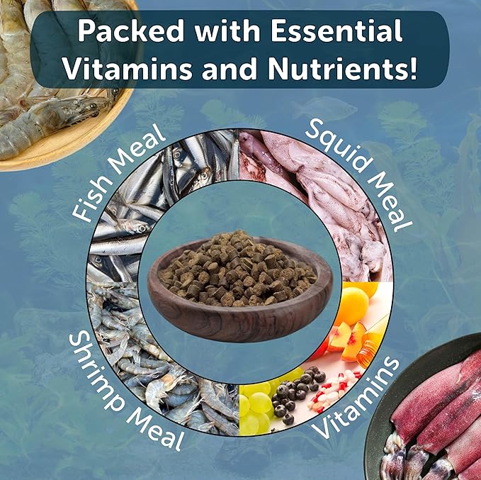 Aquatic Foods Inc. Axolotl Pellet Food 1/4" Soft Moist Sinking Pellets for Juvenile Axolotl Also Shrimp, Snails, Crayfish, Bottom Tropical Fish, Blackworm Pellets Included 12oz Canister