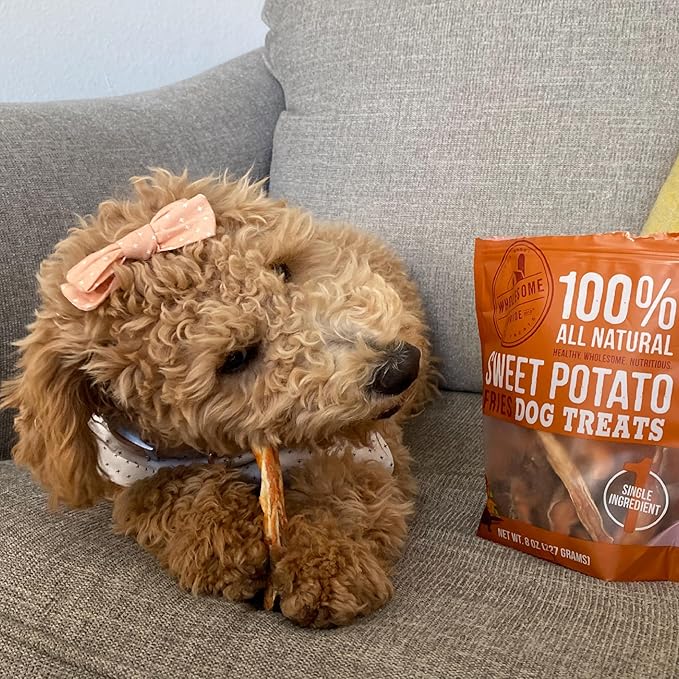 Wholesome Pride, 100% All-Natural Single Ingredient, Soft, USA-Sourced Dog Treats, Sweet Potato Fries 8oz