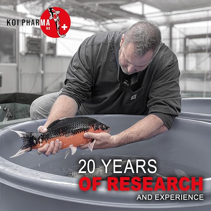 Koi Pharma® Pure Year-Round Bacteria Pro – All-Season Beneficial Pond Bacteria for Clear Water, Sludge Control & Healthy Koi and Goldfish (4 Pound)