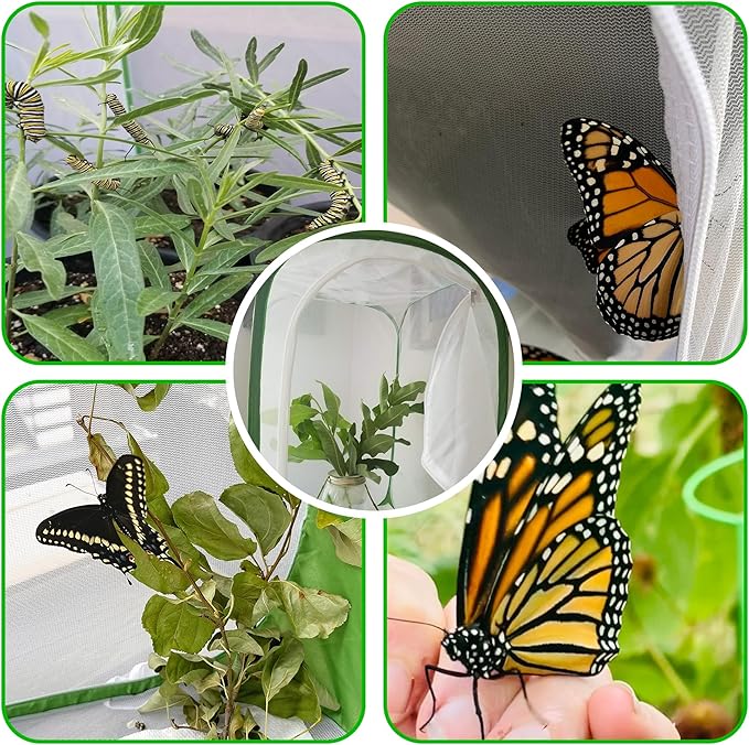 Large Monarch Butterfly Caterpillar Habitat Insect cage pop-up Transparent View with 6 mesh Panels, Foldable and Reusable with a Poop pad for Easy Cleaning (35.4 x 23.6 x 23.6 inches)