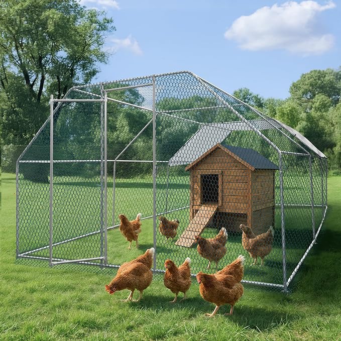 VINGLI Chicken Coop, 19.7 * 9.8 * 6.5 ft Large Metal Poultry Cage for Chicken Run, Walk-in Chicken Pen with Waterproof & Anti-UV Cover for Yard Outdoor (Silver-Flat Roof)
