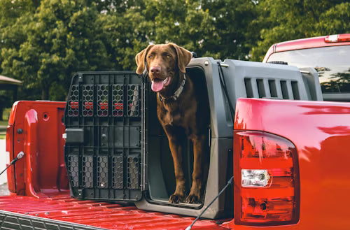 Dog Houses, Crates & Playpens