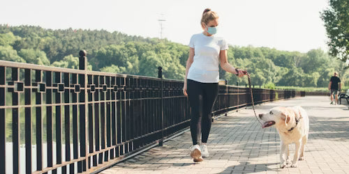 Dog Health & Wellness