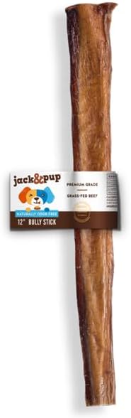 Jack&Pup 12 Inch Bully Sticks for Medium Dogs | Thick Odor Free Bully Sticks Long Lasting | All Natural, 100% Beef Pizzle Sticks (1 Pack)