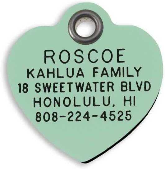 LuckyPet Plastic Pet ID Tags - Dog Personalized IDs - Durable Engraved Name Noiseless Tag - Suitable for Dogs and Cats - Outlasts Most Aluminum Tags - Medium, Mint Heart