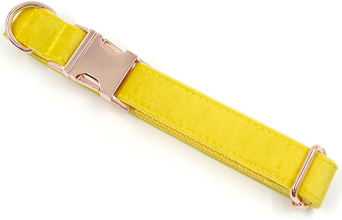 PETDURO Custom Dog Collar Personalized with Name Engraved Quick Release Rose Gold Metal Buckle for Large Medium Small Girl Dogs - Dog Leash and Bow Tie Available - Soft Comfy Velvet (Yellow, M)