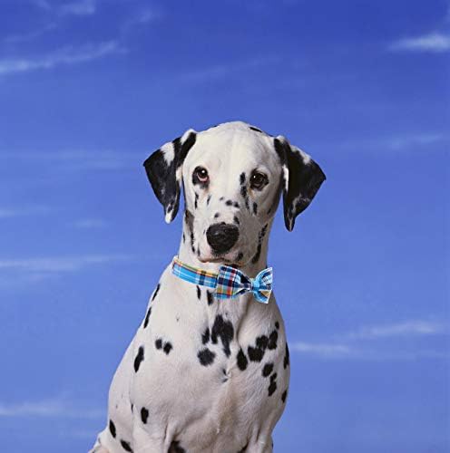 Unique style paws Plaid Dog Collar with Bow Pet Gift Adjustable Soft and Comfy Bowtie Collars for Small Medium Large Dogs (XL)