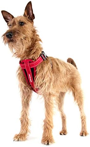 EzyDog Chest Plate No Pull Dog Harness – Escape Proof Harness with Reflective Stitching and Comfort Padding for Easy Walks, Training & Control - Car Restraint Included (Large, Teal)