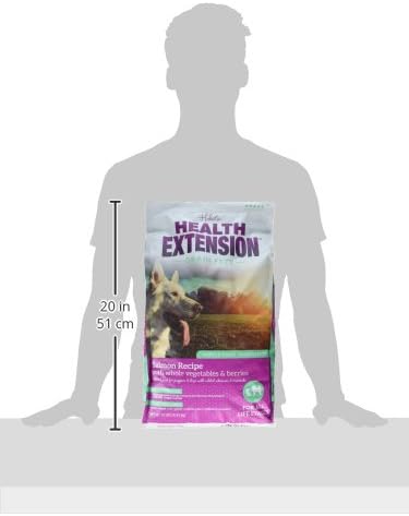 Health Extension Grain Free Salmon & Sweet Potato Dry Dog Food - 30+ Superfoods and Probiotics for All Life Stages (10lb)