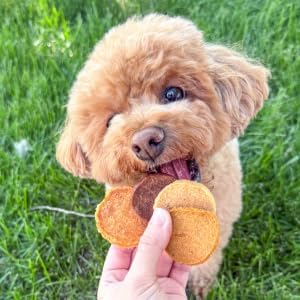 Farm To Pet - Dog Training Treats - Chicken, Turkey, Beef and Fish Chip Protein Variety Pack - 100% All Natural, Single Ingredient Training Treats for Small, Medium, and Large Dogs - Made in USA
