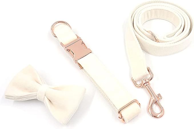 PETDURO Custom Dog Collar Personalized with Name Engraved Quick Release Rose Gold Metal Buckle for Large Medium Small Girl Dogs - Dog Leash and Bow Tie Available - Soft Comfy Velvet (Cream, L)