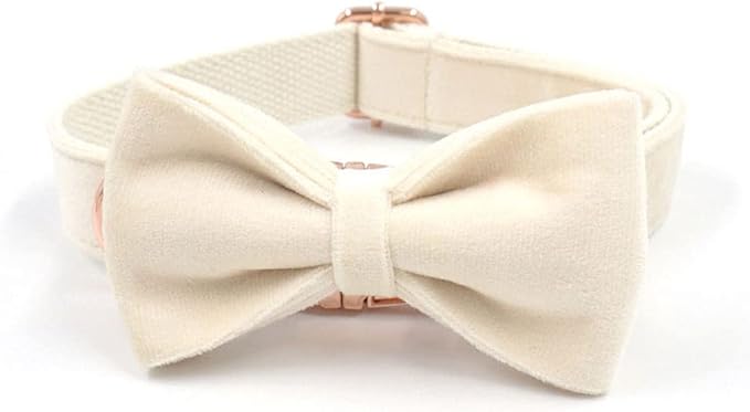 PETDURO Custom Dog Collar Personalized with Name Engraved Quick Release Rose Gold Metal Buckle for Large Medium Small Girl Dogs - Dog Leash and Bow Tie Available - Soft Comfy Velvet (Cream, L)