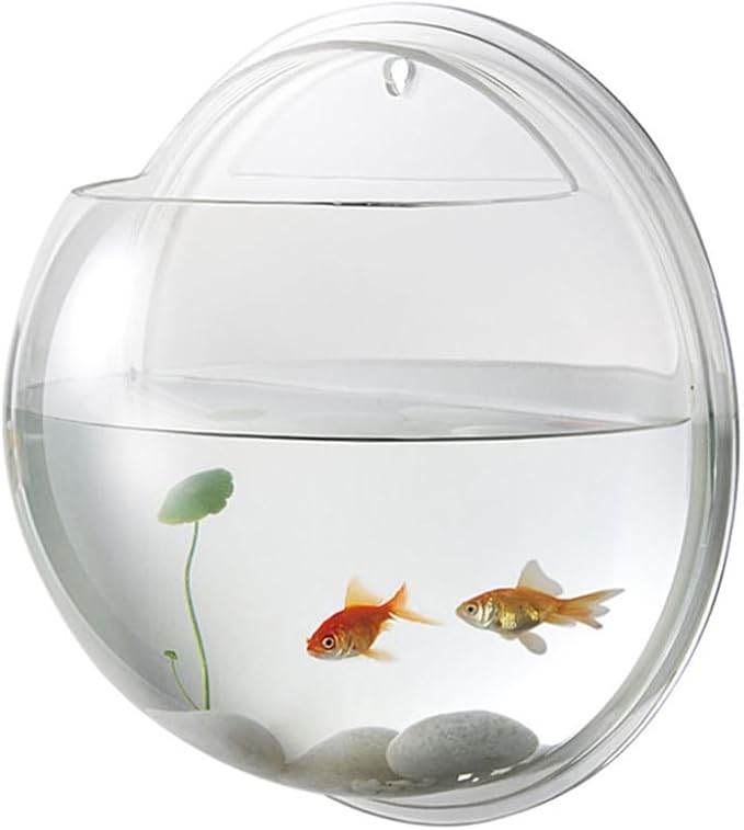 Alipis Transparent Creative Wall Mounted Fish Tank Acrylic Fish Bowl Hanging Aquarium for Home Decor 6.7 Inch Space Saving Wall Aquarium Suitable for Betta and Air Plants