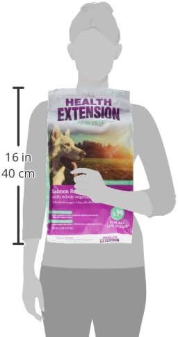 Health Extension Grain Free Salmon & Sweet Potato Dry Dog Food - 30+ Superfoods and Probiotics for All Life Stages (4lb)