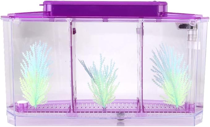 Small Fish Isolation Fish Tank, LED Acrylic Aquarium Fish Tank, Transparent Fish Isolation Box with 2 Isolation Plates for Small Fishes Betta Shrimp Guppy (Lightpurple)
