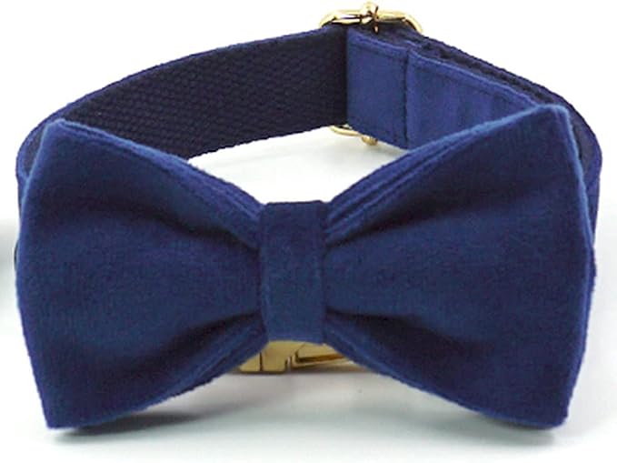 PETDURO Custom Dog Collar Personalized with Name Engraved Quick Release Rose Gold Metal Buckle for Large Medium Small Girl Dogs - Dog Leash and Bow Tie Available - Soft Comfy Velvet (Dark Blue, L)