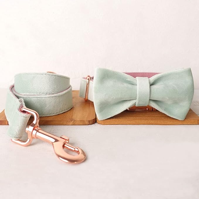 PETDURO Custom Dog Collar Personalized with Name Engraved Quick Release Rose Gold Metal Buckle for Large Medium Small Girl Dogs - Dog Leash and Bow Tie Available - Soft Comfy Velvet (Mint Pink, XS)