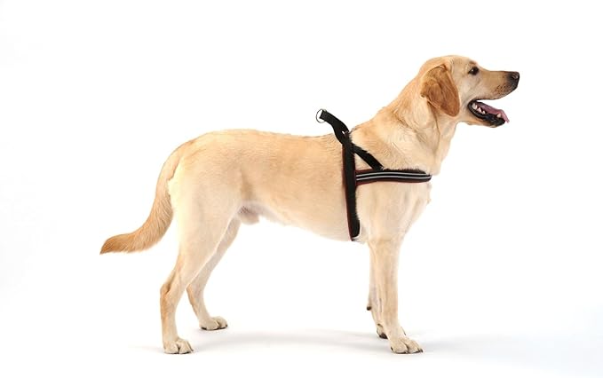 ComfortFlex Sport Dog Harness – No-Choke, Fully Padded, Non-Chafing Harness with Control Handle – Reflective, Lightweight, Adjustable for Active Dogs - Medium/Large, Bordeaux
