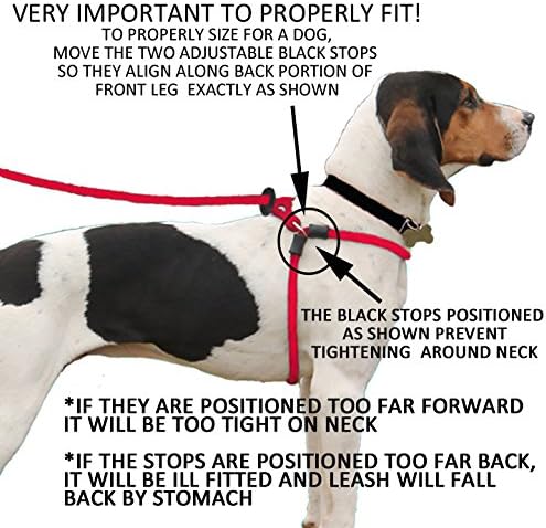Harness Lead No Pull Dog Harness and Leash Set, Anti Pull Dog Harness, One-Piece Cushioned Rope Safely Prevents Escaping and Pulling *New Insert is Removable (Medium/Large, Peacock/Blue/Lime)