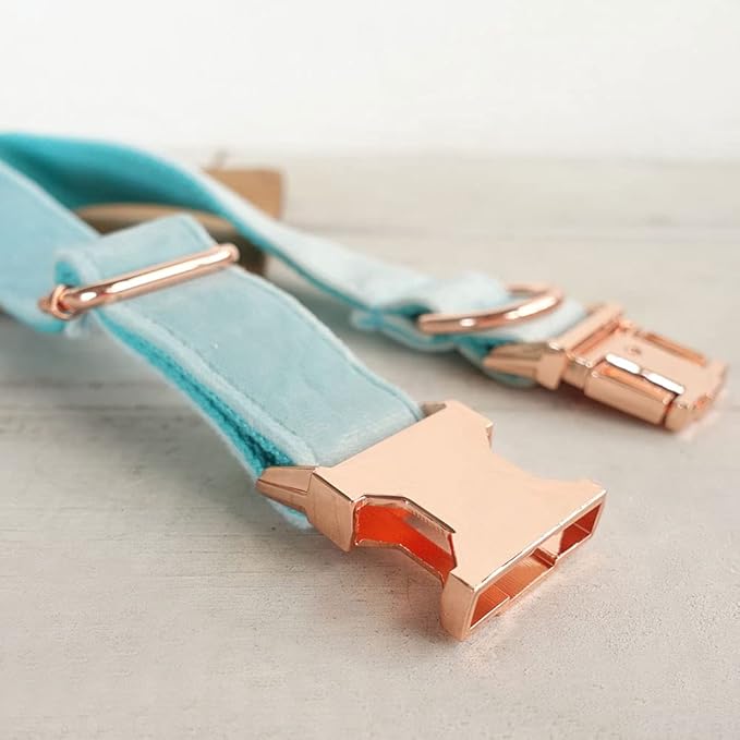 PETDURO Custom Dog Collar Personalized with Name Engraved Quick Release Rose Gold Metal Buckle for Large Medium Small Girl Dogs - Dog Leash and Bow Tie Available - Soft Comfy Velvet (Mint Blue, XS)