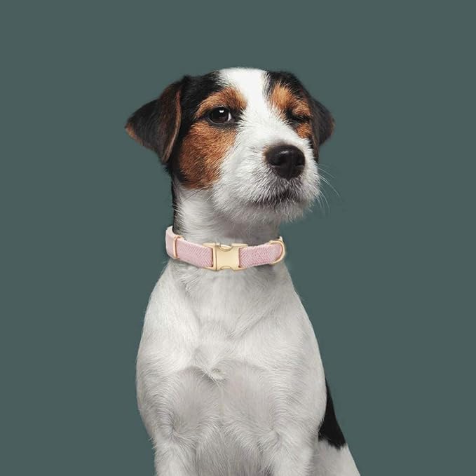 Soft Hemp Dog Collar and Leash Set Adjustable Woven Tweed Dog Collars with Metal Buckle and Lead for Small Medium Large Dogs,Pink