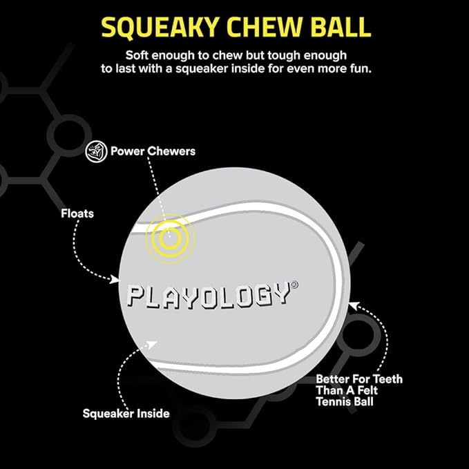 Playology Dog Toys | Squeaky Chew Ball - Bouncy Durable Floating Fetch Ball for Dogs | Medium Pumpkin Spice Scented Toy - Easy to Clean and Made from Non Toxic Materials