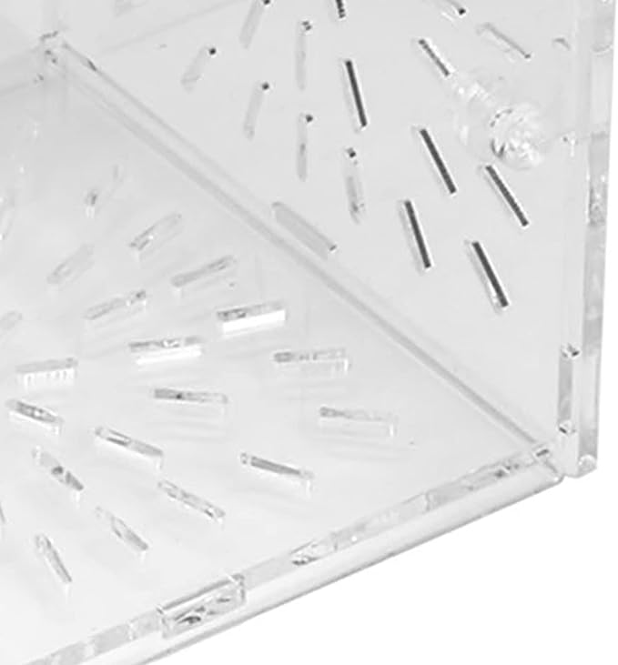 Fish Separation Box, Acrylic Transparent Fish Tank Breeding Isolation Box Aquarium Hatchery Incubator Holder(10CM*10CM*10CM)