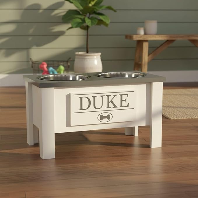 GTW Personalized Elevated Dog Bowl Stand for Large, Medium, Small, X-Small Dogs - Stainless Steel Food and Water Bowls - Raised Dog Dish with Internal Storage (Large, Grey)