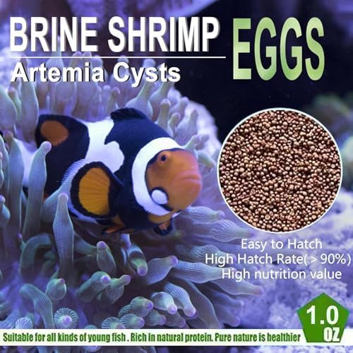 Bubble Magus Brine Shrimp Eggs/sea Monkey Eggs/Live Fish Food/Fairy Shrimp Egg Artemia high Protein Fish Food for brine Shrimp Hatchery 、 Clownfish Food 、 Reef roids Coral Food 、Feeder Guppies、beta