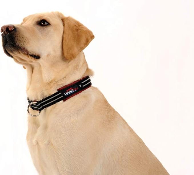 ComfortFlex Premium Padded Martingale Dog Collar – Reflective Waterproof Slip-On Limited Slip Collar for Gentle Control & Escape Prevention - Large, Bordeaux