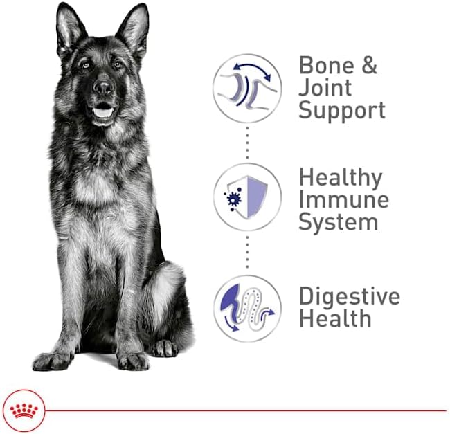 Royal Canin Size Health Nutrition Large Adult Dry Dog Food, 40 lb Bag