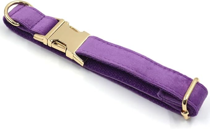 PETDURO Personalized Dog Collar Purple Soft Velvet for Large Medium Small Girl Dogs - Custom Collar with Name Phone Number Engraved on Gold Metal Buckle - Add Matching Leash Bow Set via Customize Now