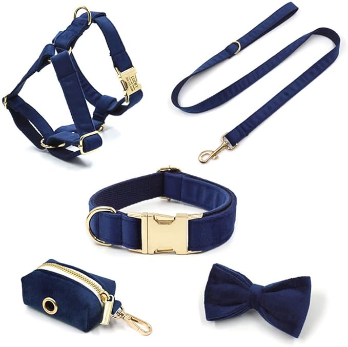 PETDURO Custom Dog Collar Personalized with Name Engraved Quick Release Rose Gold Metal Buckle for Large Medium Small Girl Dogs - Dog Leash and Bow Tie Available - Soft Comfy Velvet (Dark Blue, XL)