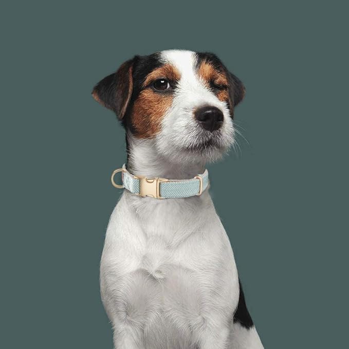 Soft Hemp Dog Collar and Leash Set Adjustable Woven Tweed Dog Collars with Metal Buckle and Lead for Small Medium Large Dogs,Blue